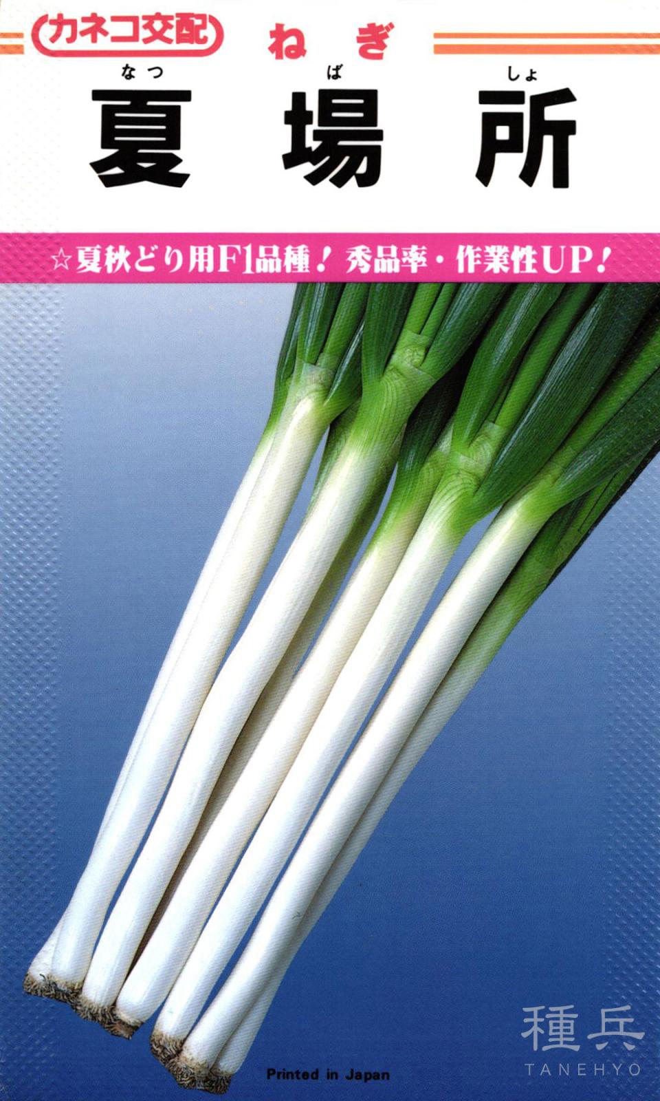 根深ネギ 種 『夏場所』 カネコ種苗 | たね,葉菜の種,ネギ,根深・白