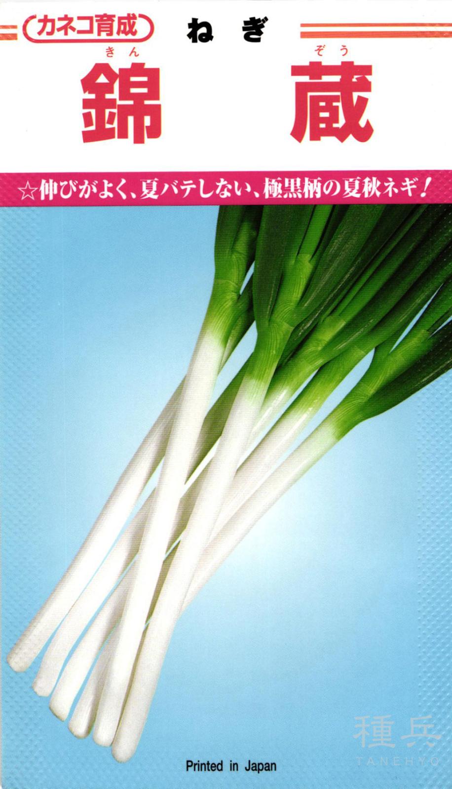 根深ネギ 種 『錦蔵』 カネコ種苗 | たね,葉菜の種,ネギ,根深・白ネギ
