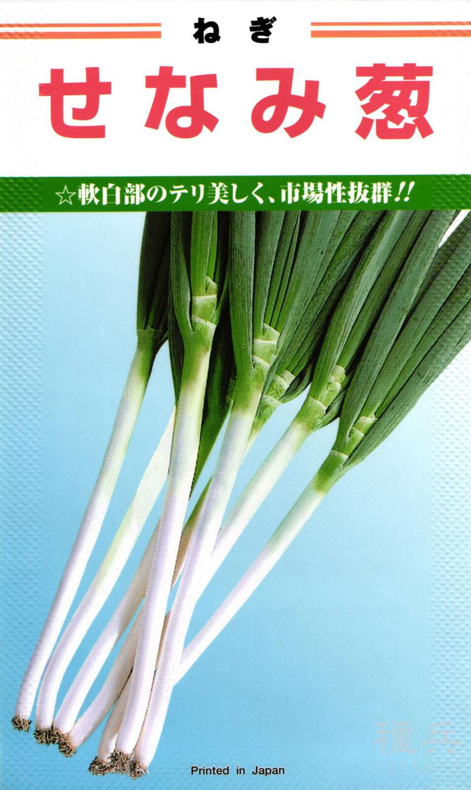 根深ネギ 種 『せなみ』  カネコ種苗