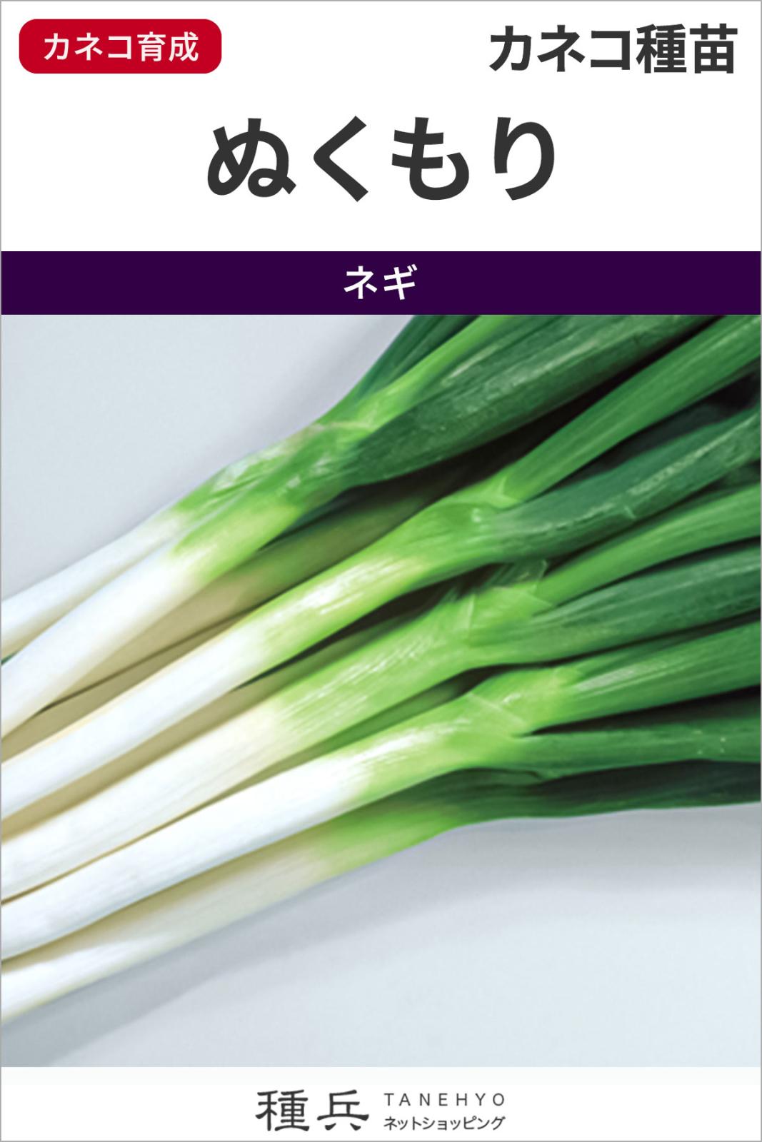 根深ネギ 種 『ぬくもり』 カネコ種苗 | たね,葉菜の種,ネギ,根深・白