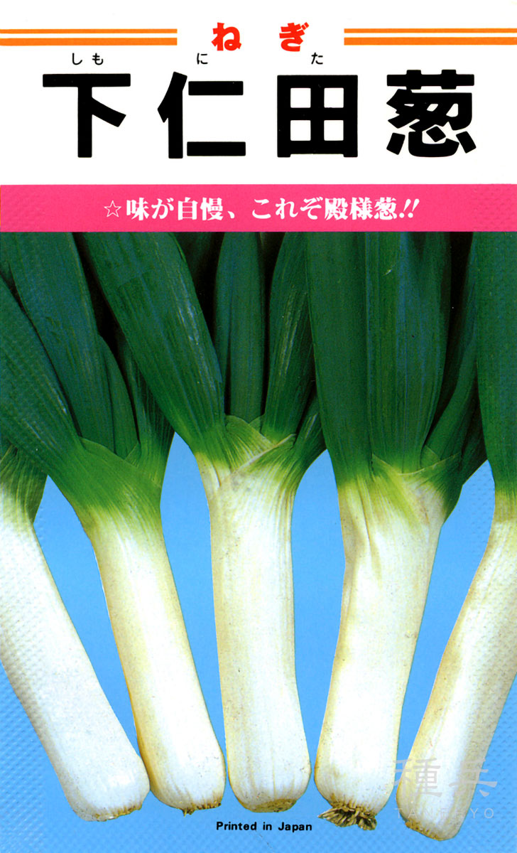 根深ネギ 種 『下仁田葱』 カネコ種苗 | たね,葉菜の種,ネギ,根深・白
