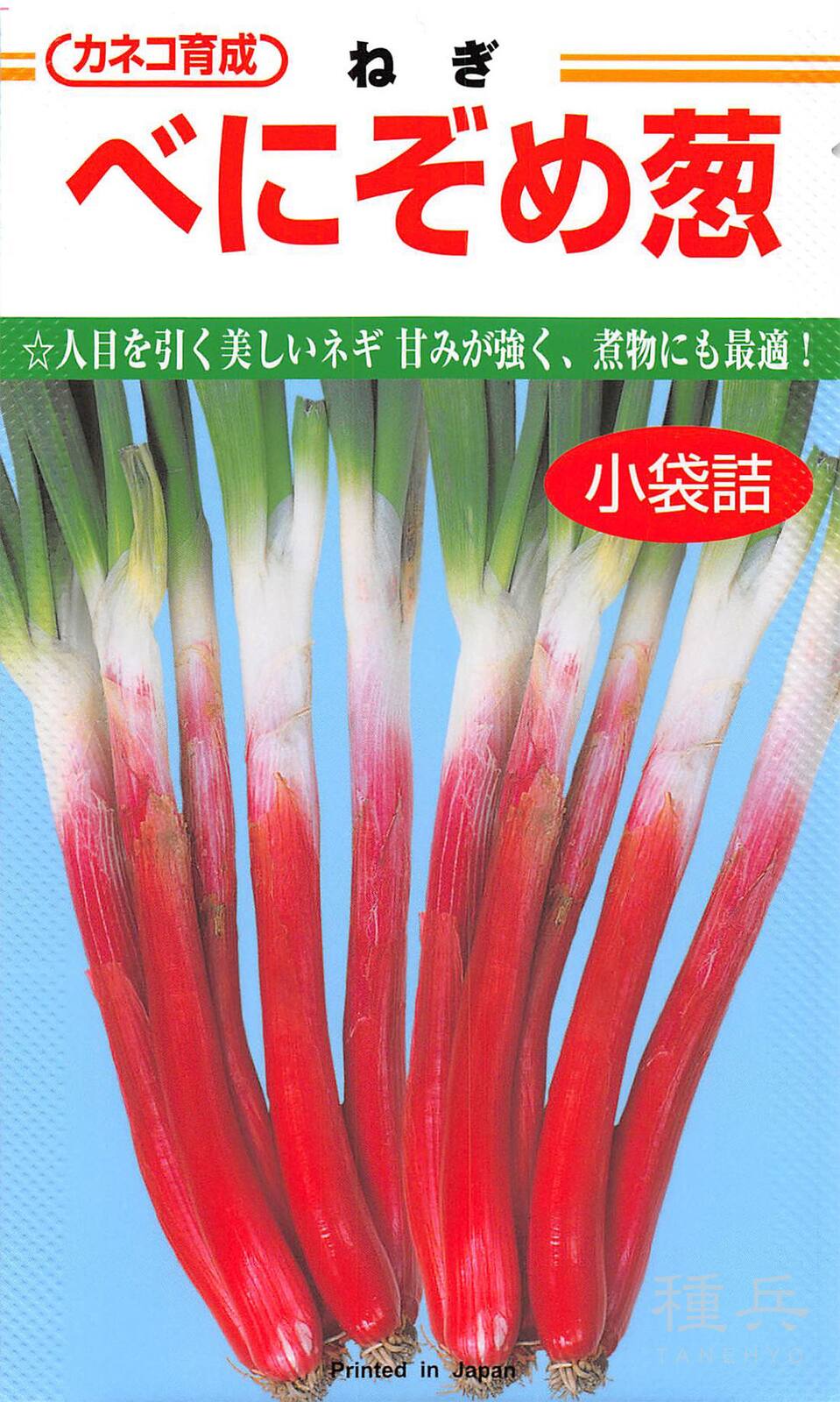 根深ネギ 種 『べにぞめ』  カネコ種苗