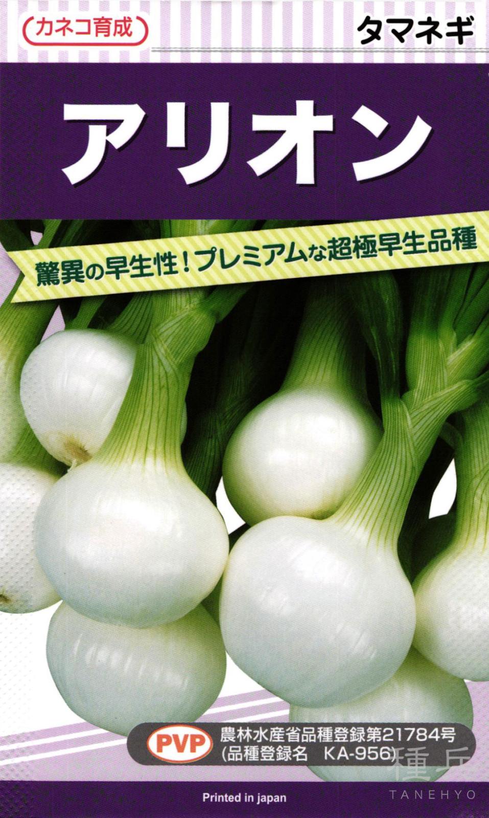 超極早生タマネギ 種 『アリオン』  カネコ種苗