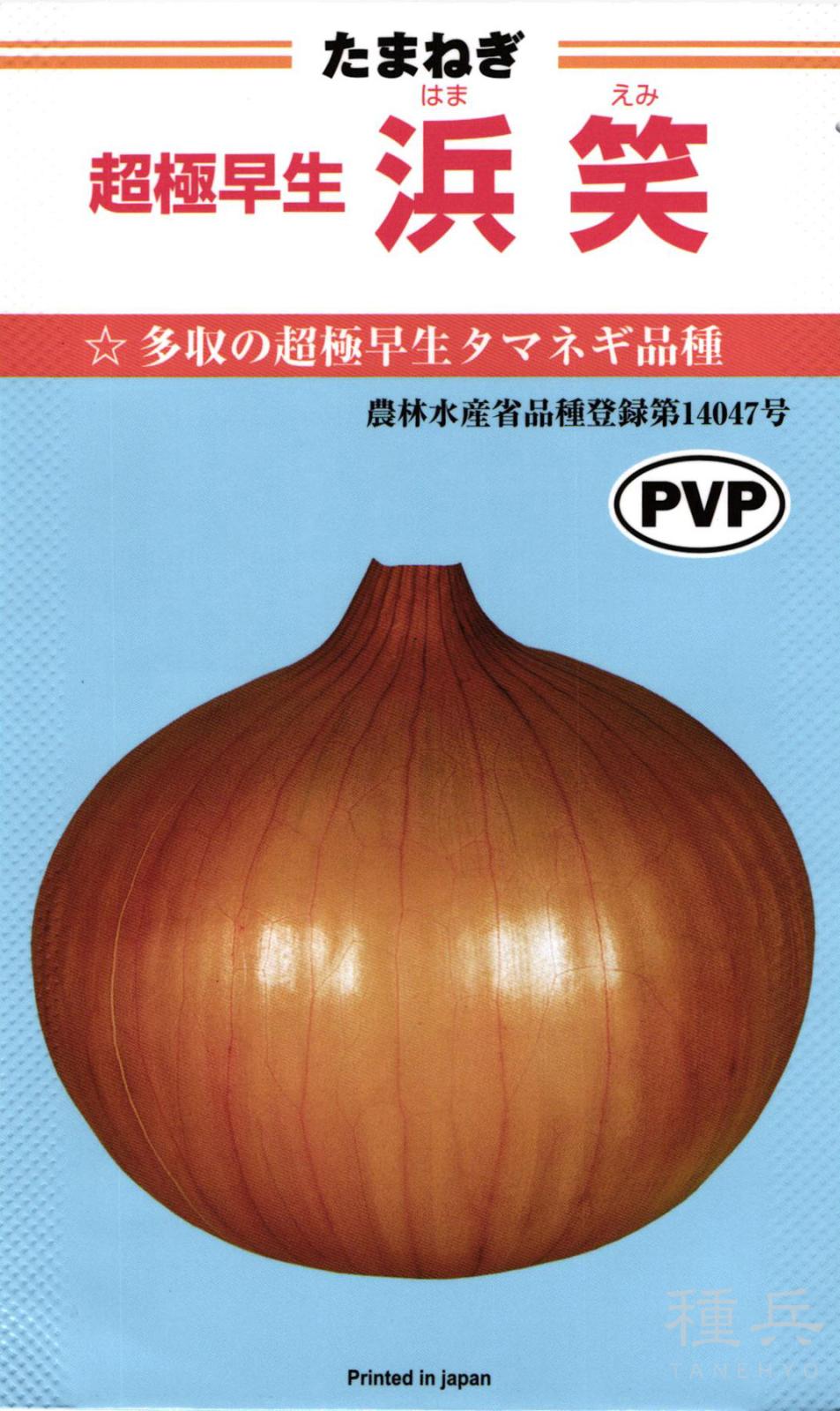 INAMO89 玉ねぎ苗 4500本 浜笑 超極早生 超極早生タマネギ 種 『浜笑』 カネコ種苗 | たね,根菜の種,タマネギ