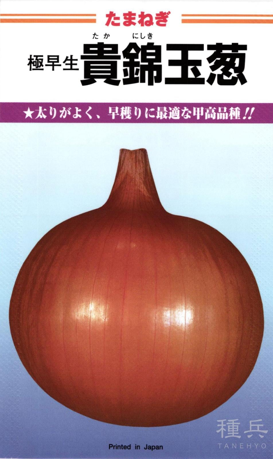 極早生タマネギ 種 『貴錦』  カネコ種苗