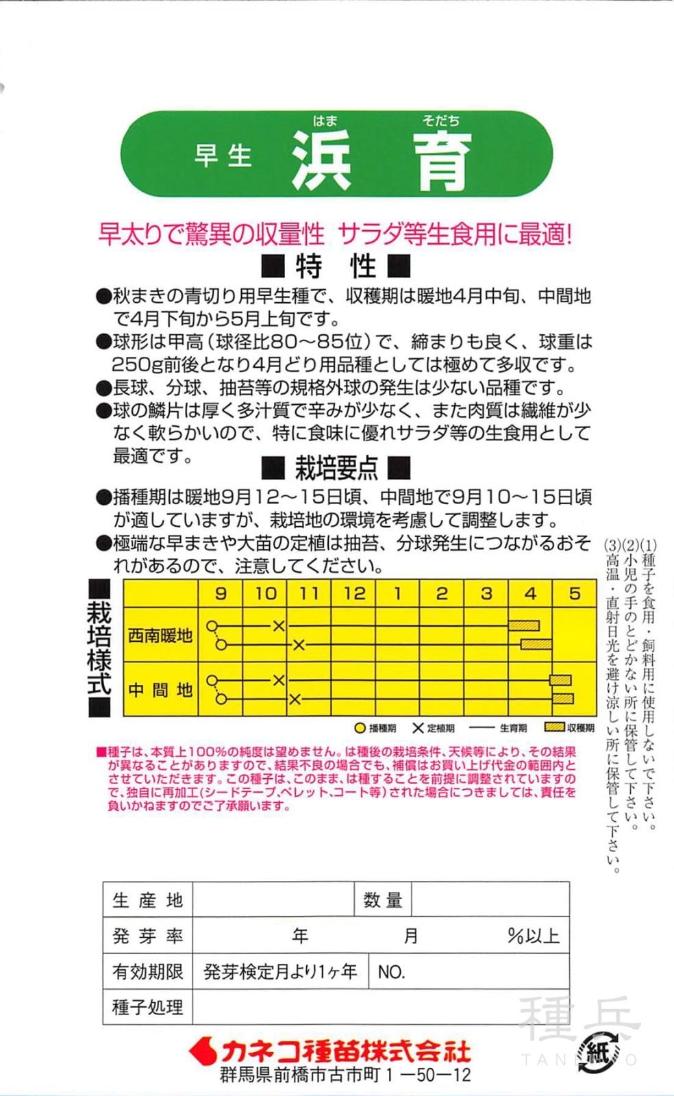 早生タマネギ 種 『浜育』 カネコ種苗 | たね,根菜の種,タマネギ,極