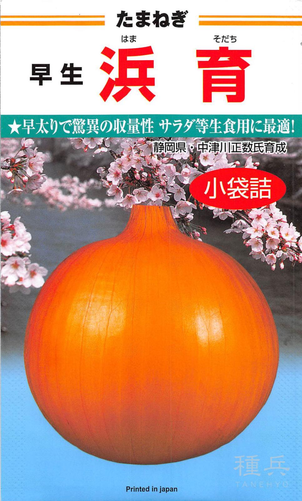 早生タマネギ 種 『浜育』  カネコ種苗