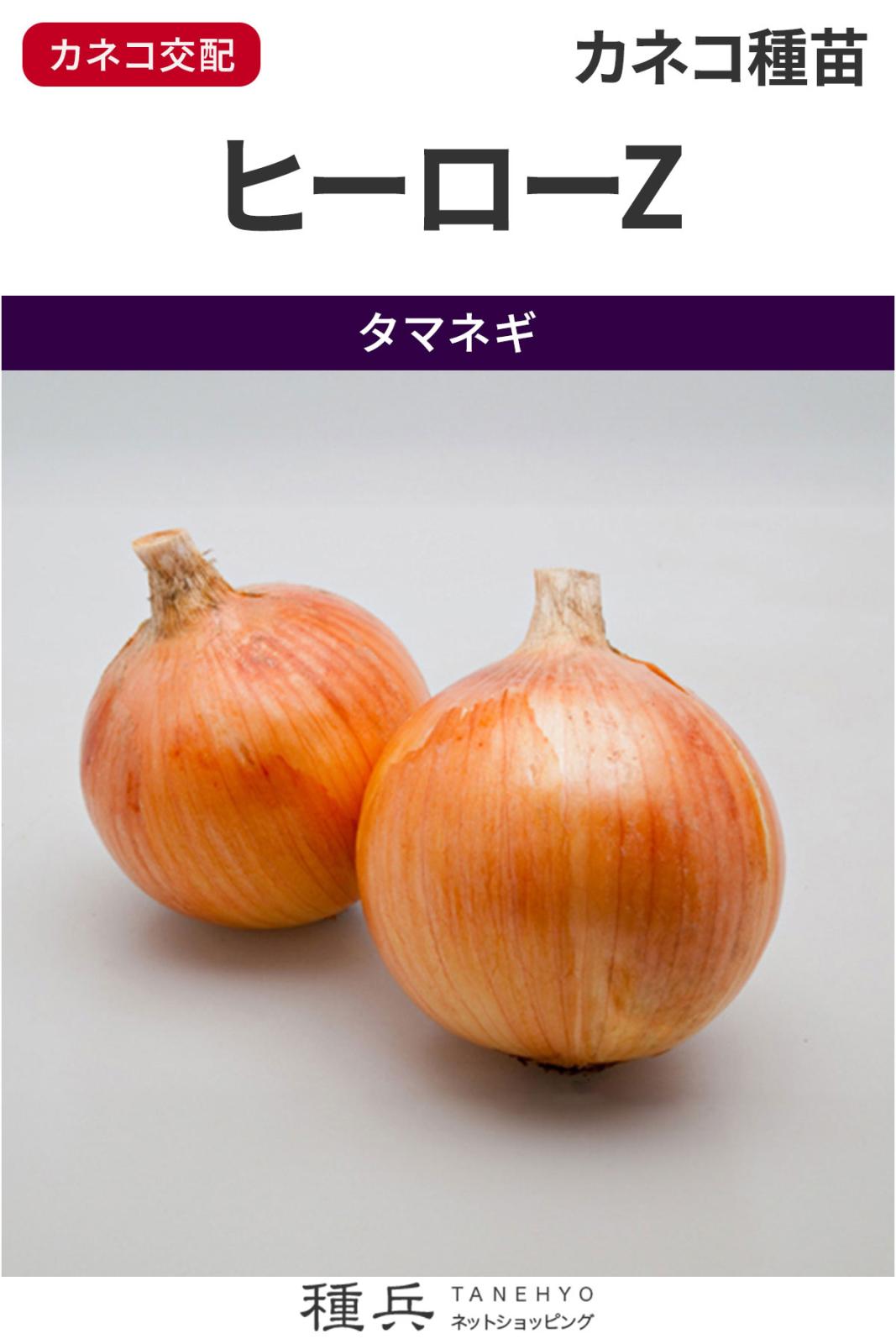 中生タマネギ 種 『ヒーローZ』 カネコ種苗 | たね,根菜の種,タマネギ
