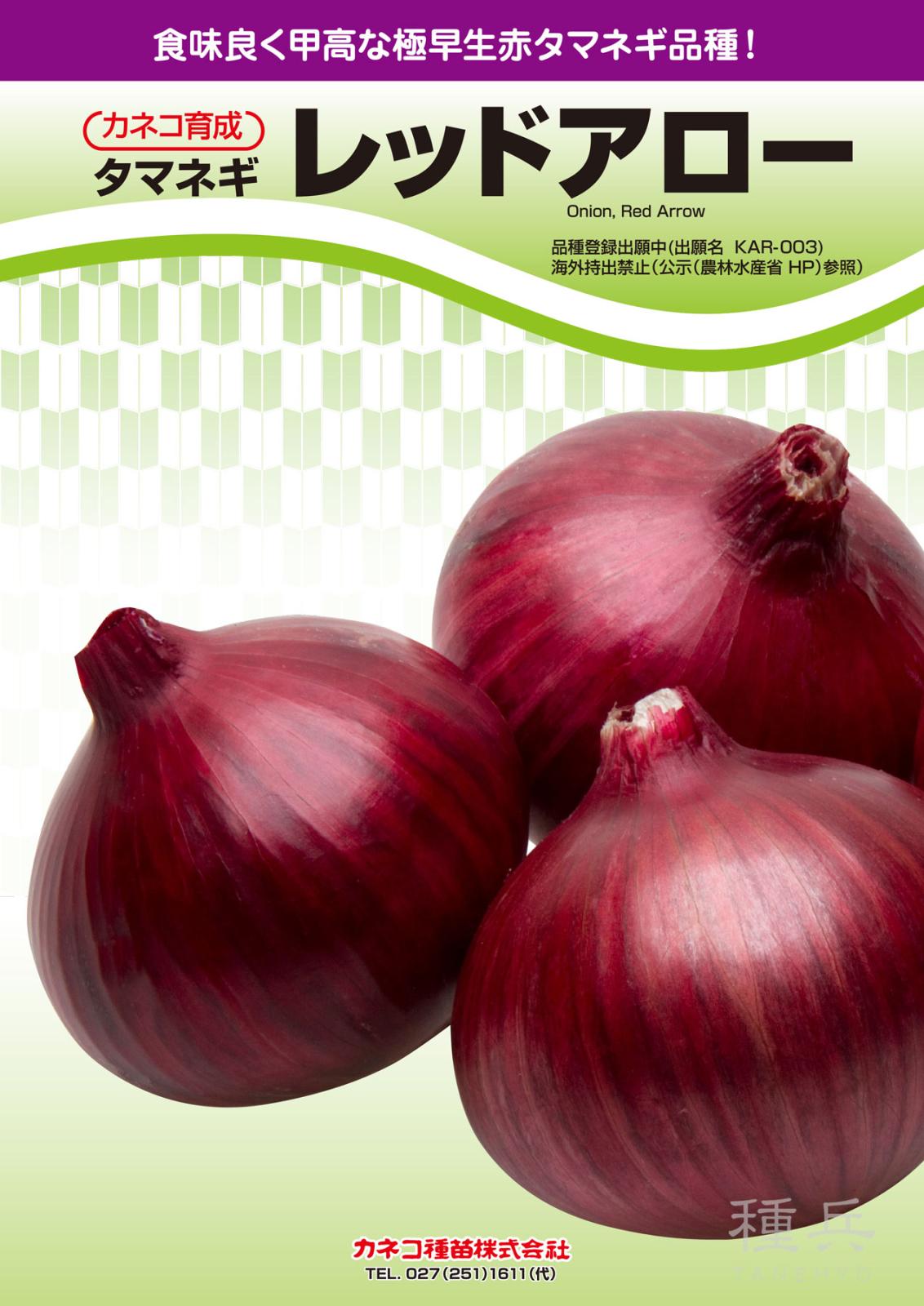 【12/5以降に発送の可能性】レッドアロー 極早生 赤玉ねぎ 1000本 極早生赤タマネギ 種 『レッドアロー』 カネコ種苗 | たね,根菜の種