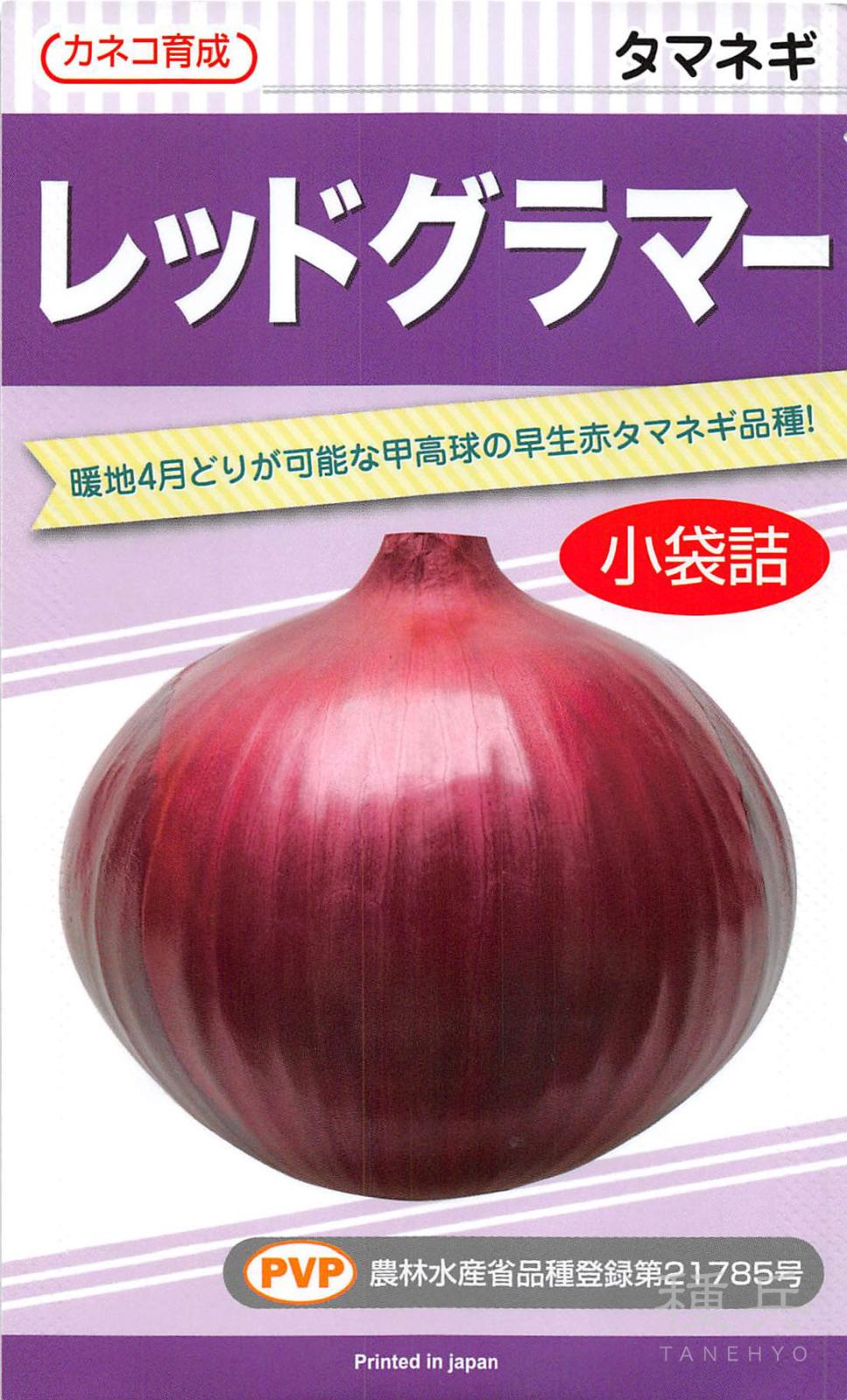 玉ねぎ苗【⭕️レッドグラマー1000本⭕️OK黄2000本⭕️】【野菜苗
