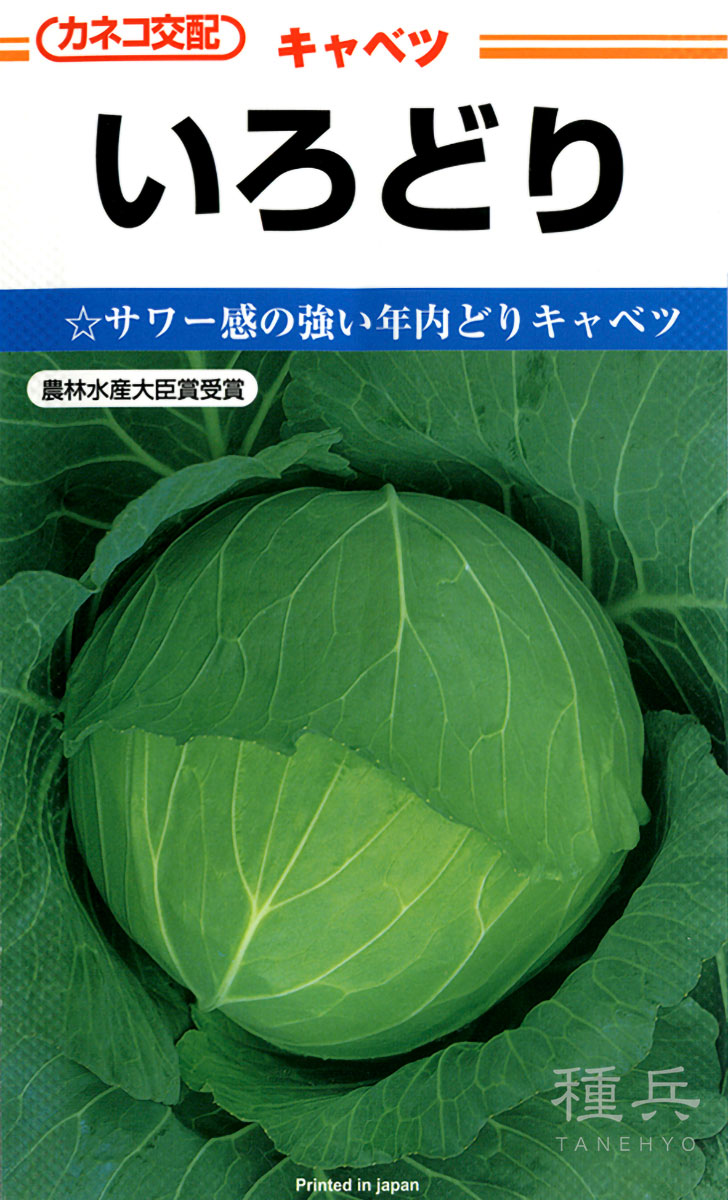 早生キャベツ 種 『いろどり』 カネコ種苗 | たね,葉菜の種,キャベツ