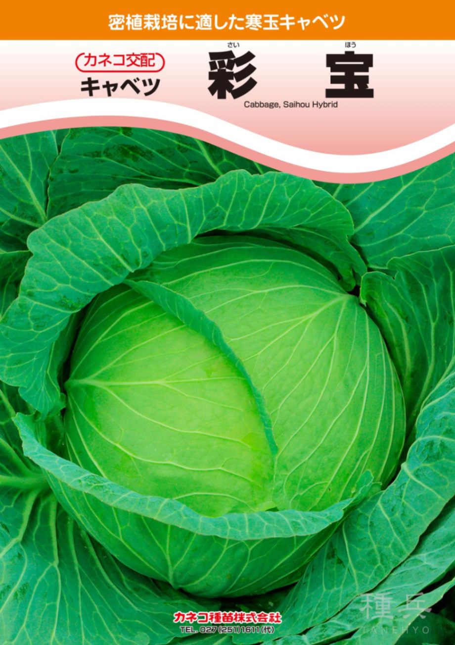 中早生キャベツ 種 『彩宝』 カネコ種苗 | たね,葉菜の種,キャベツ