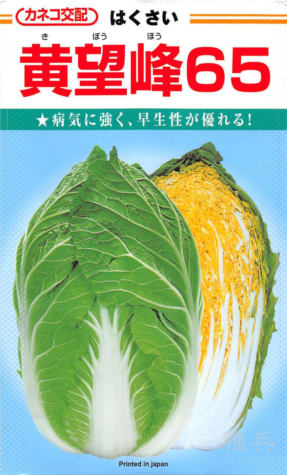 秋まきハクサイ 種 『黄望峰65』  カネコ種苗