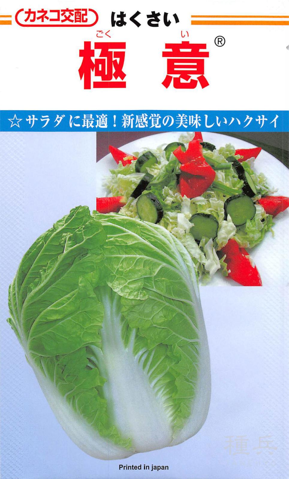 夏秋まきハクサイ 種 『極意』  カネコ種苗