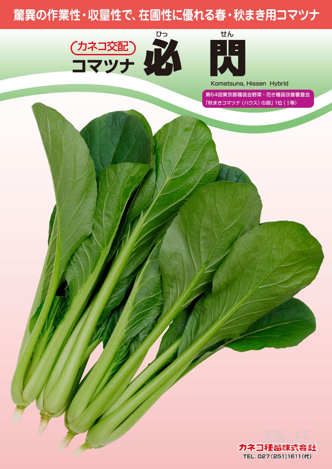 コマツナ 種 『必閃』  カネコ種苗