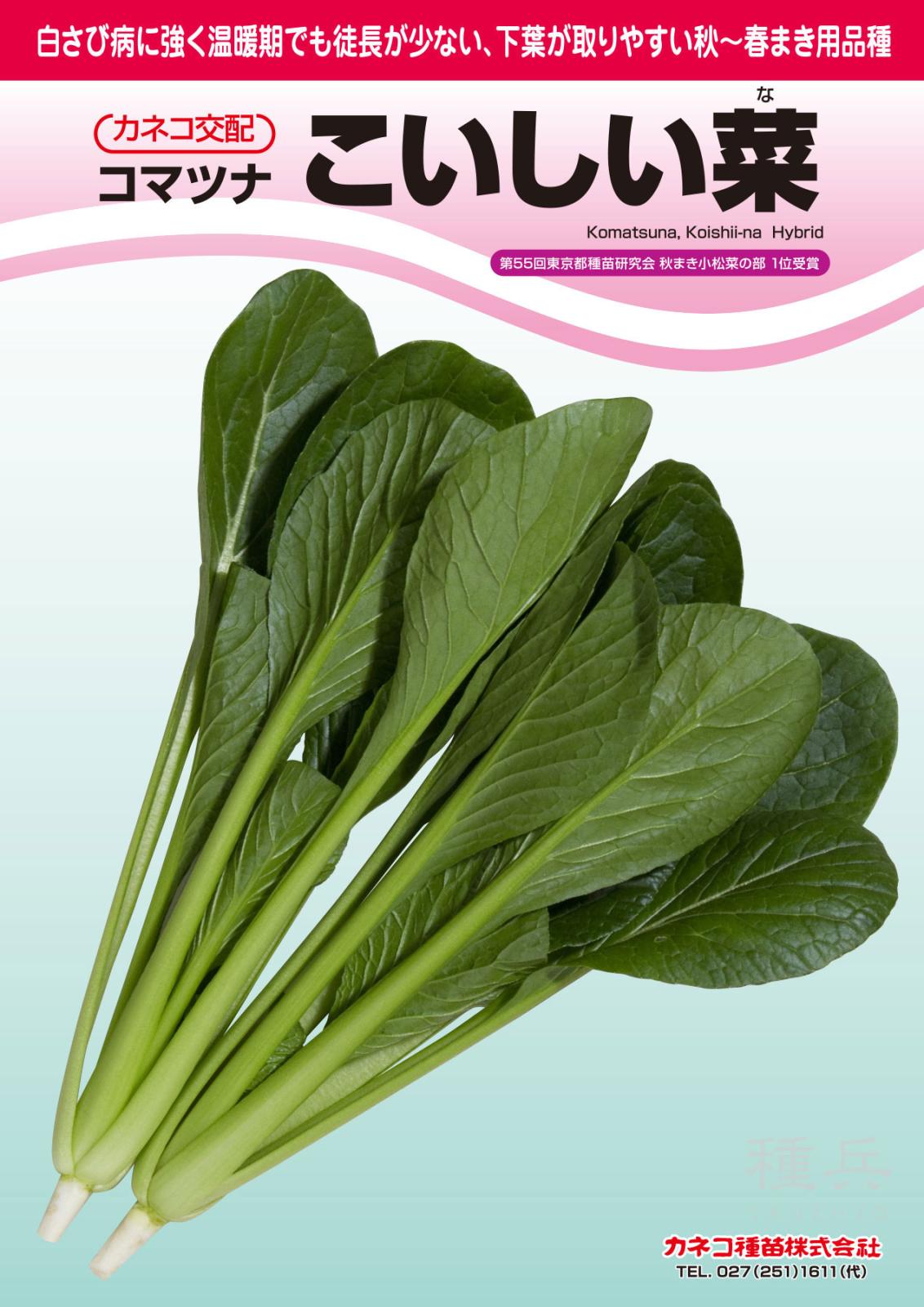 コマツナ 種 『こいしい菜』  カネコ種苗