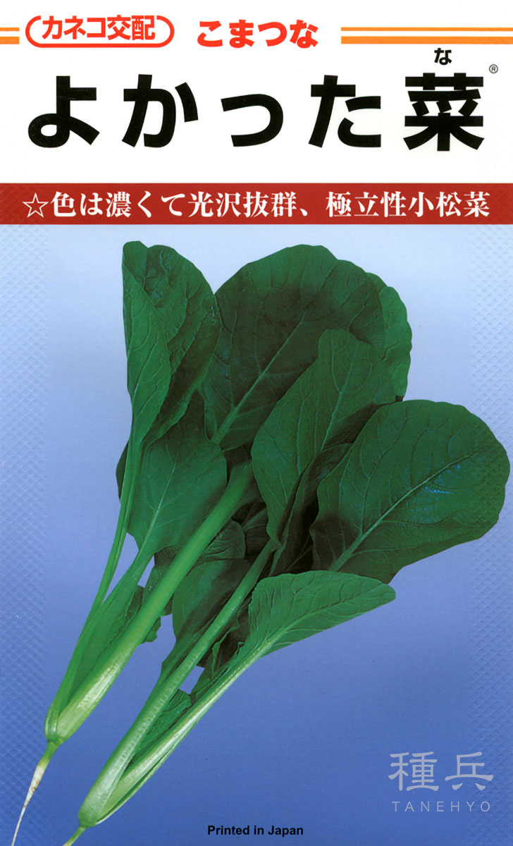 コマツナ 種 『よかった菜』  カネコ種苗