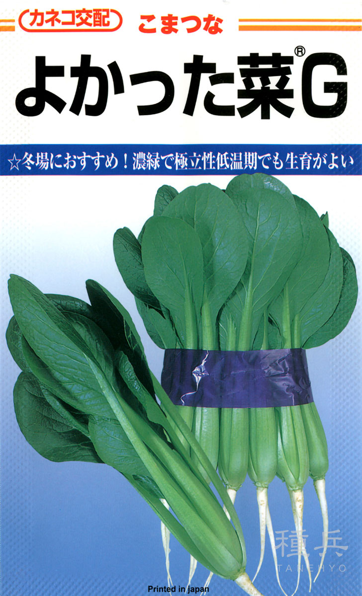 コマツナ 種 『よかった菜G』  カネコ種苗