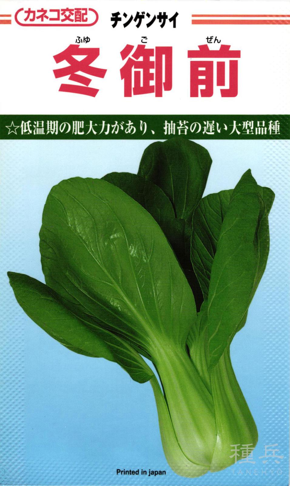 チンゲンサイ 種 『冬御前』  カネコ種苗
