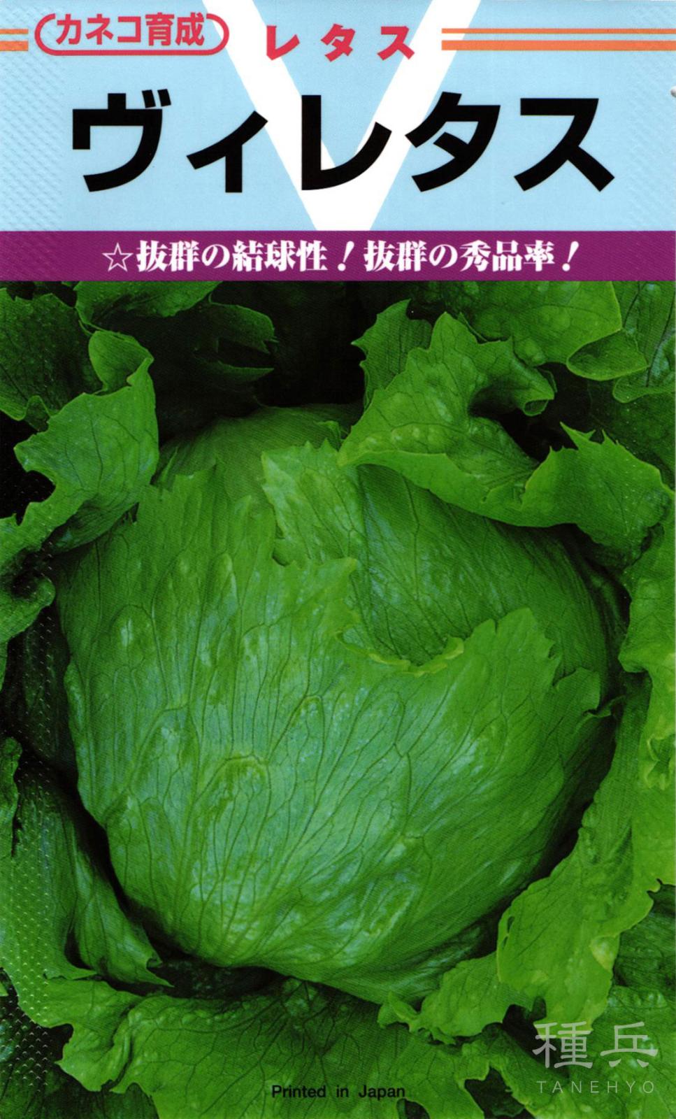 結球レタス 種 『V（ヴィ）レタス』  カネコ種苗