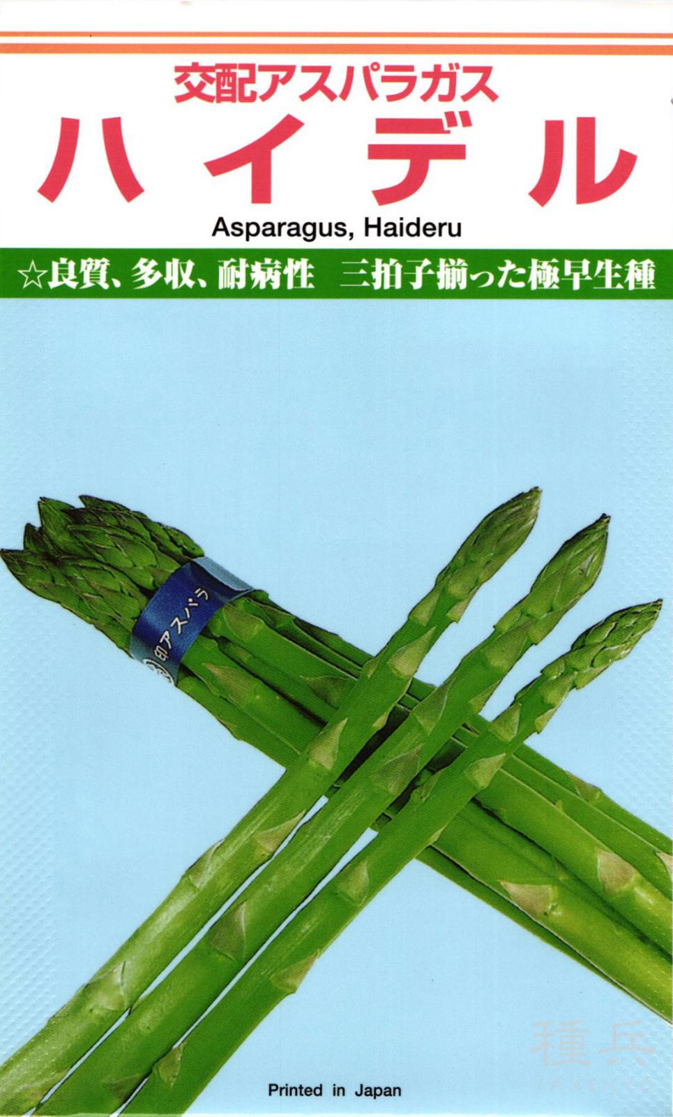 アスパラガス 種 『ハイデル』  カネコ種苗