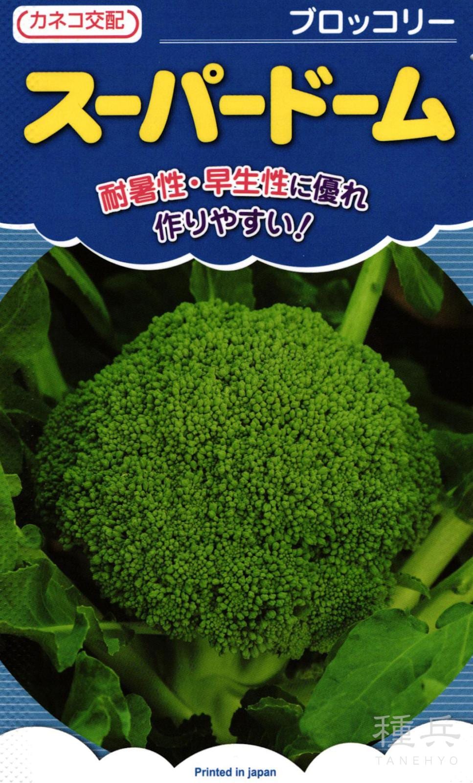 ブロッコリー 種 『スーパードーム』  カネコ種苗