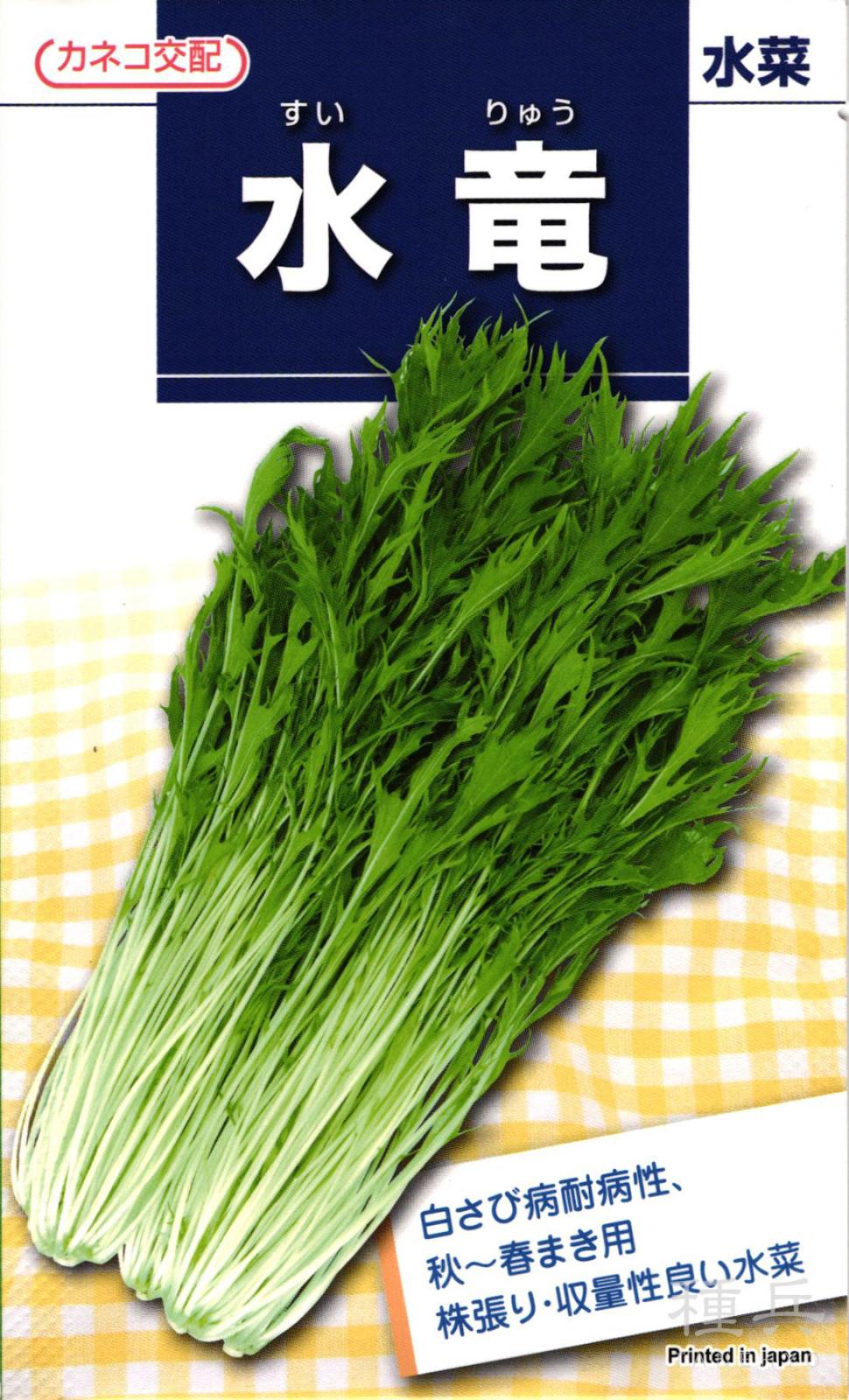 ミズナ 種 『水竜』  カネコ種苗