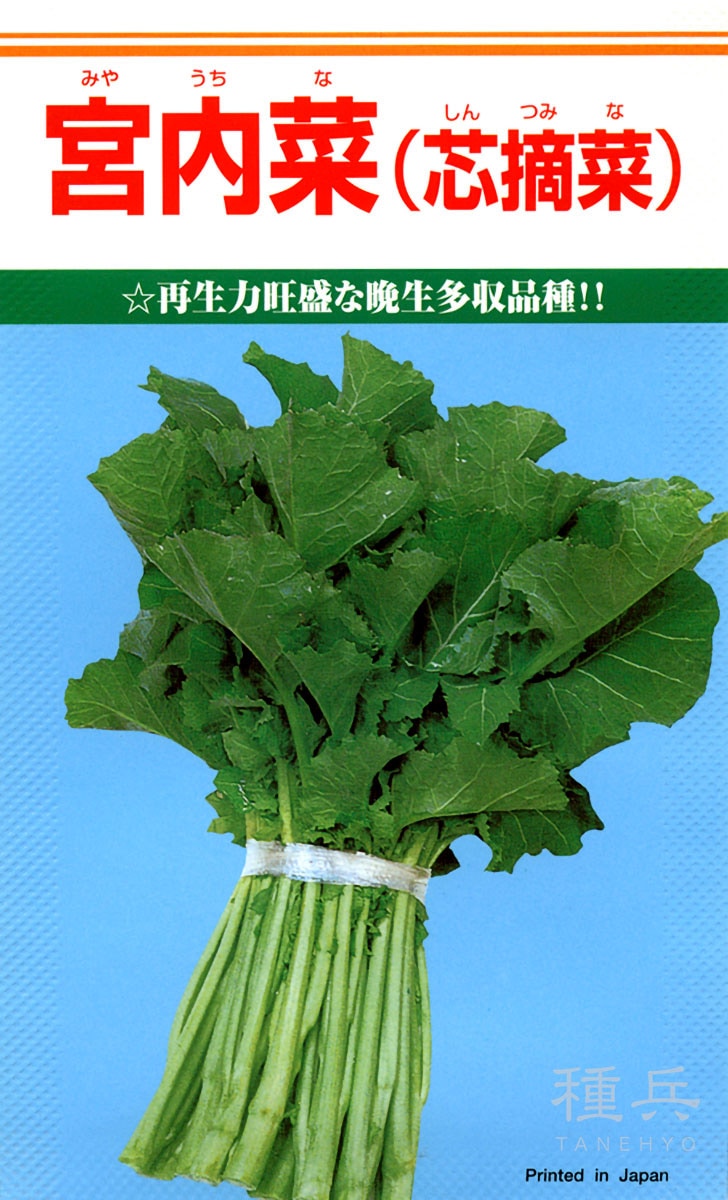 カキナ 種 『宮内菜』  カネコ種苗