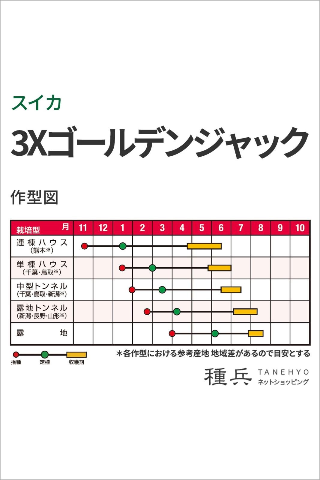 種なしスイカ 種 『3Xゴールデンジャック』 ナント種苗 | たね,果菜の