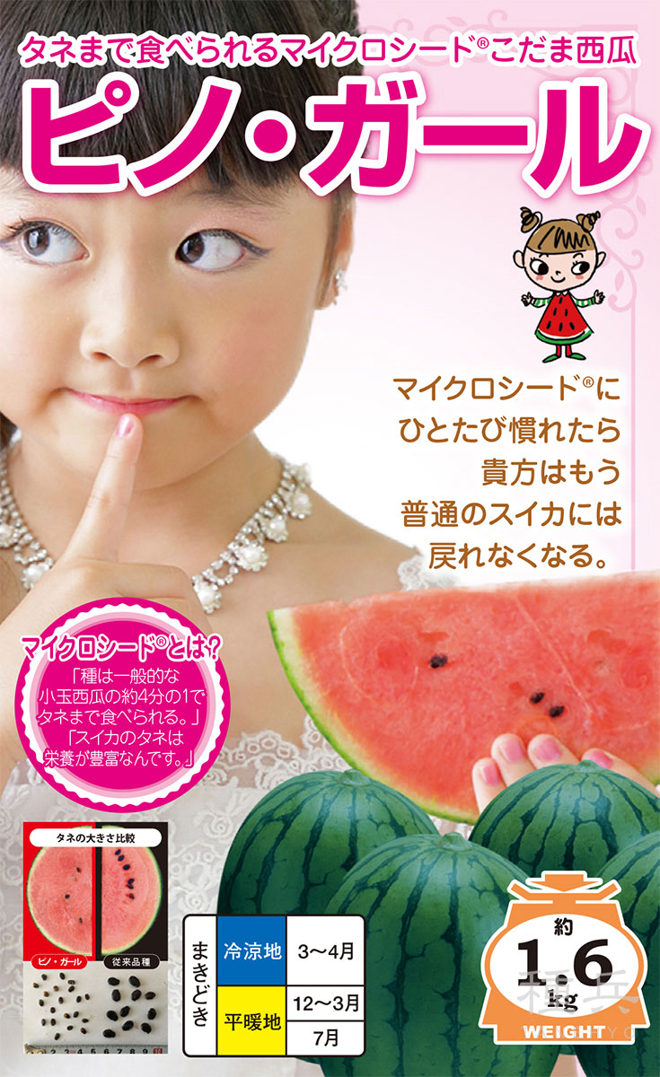 マイクロシード 紅小玉スイカ 種 『ピノ・ガール』 ナント種苗 | たね
