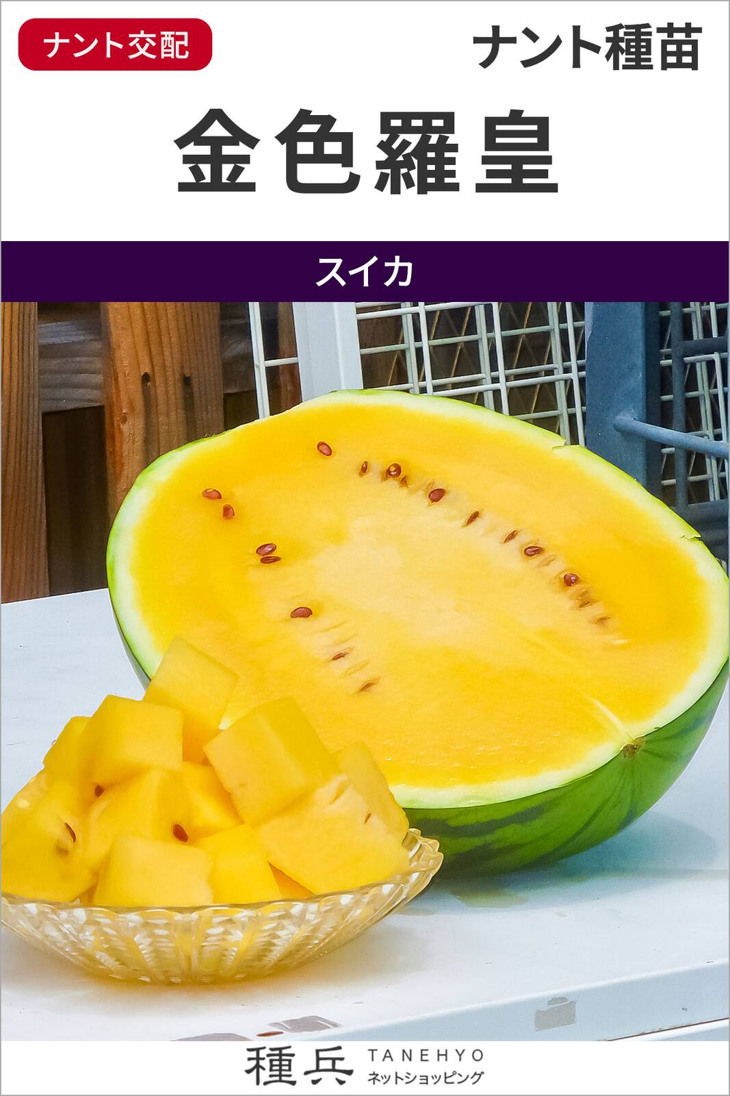 スイカ接木苗！大玉スイカ！金色羅皇！小玉スイカ！ピノガール！お問い合わせページ スイカ接木苗！大玉スイカ！金色羅皇！小玉スイカ！ピノガール