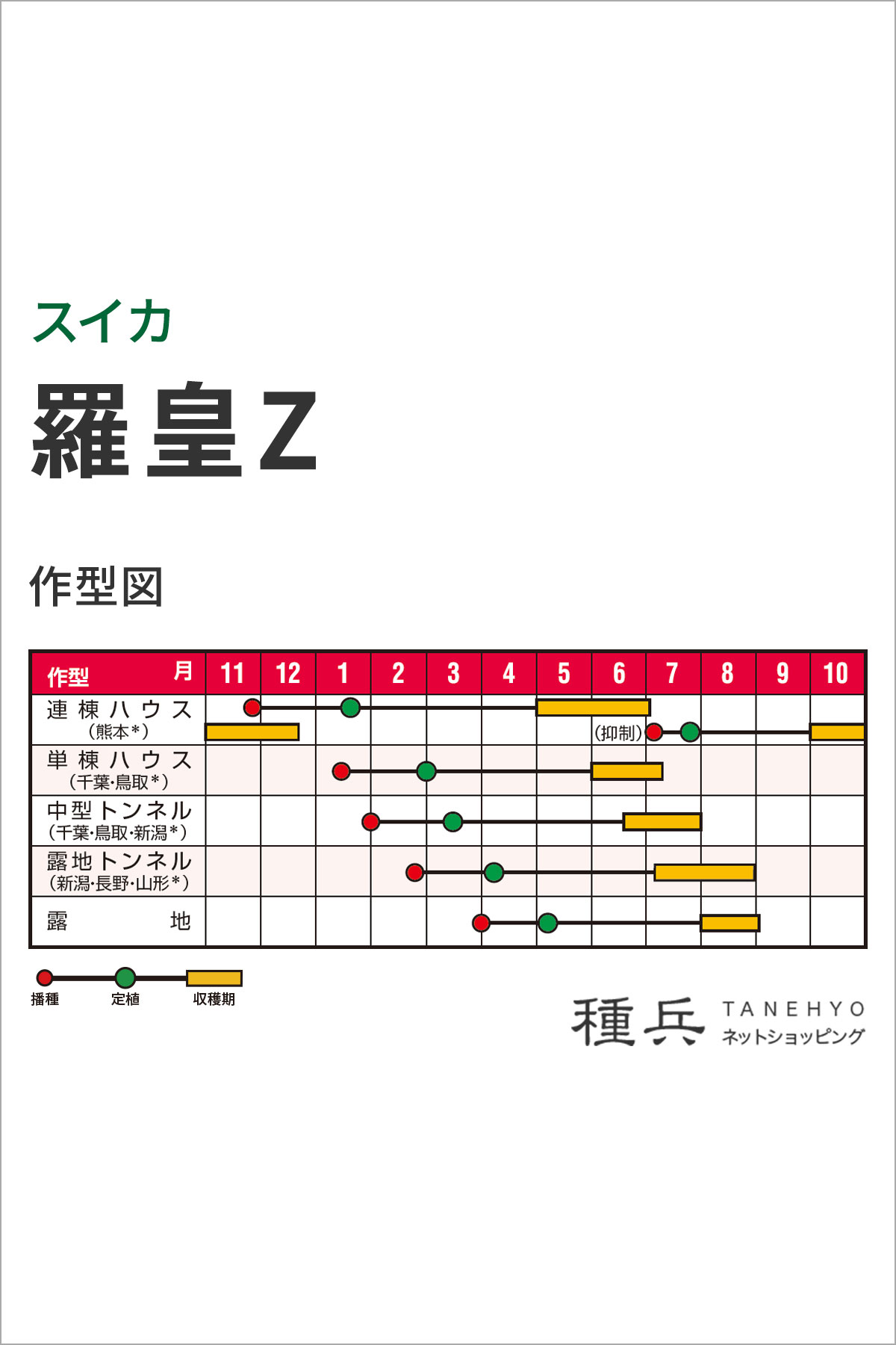 大玉スイカ 種 『羅皇Z』 ナント種苗 | たね,果菜の種,スイカ,中・大玉