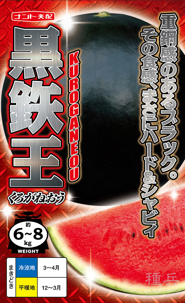 大玉スイカ 種 『黒鉄王』 ナント種苗 | たね,果菜の種,スイカ,中