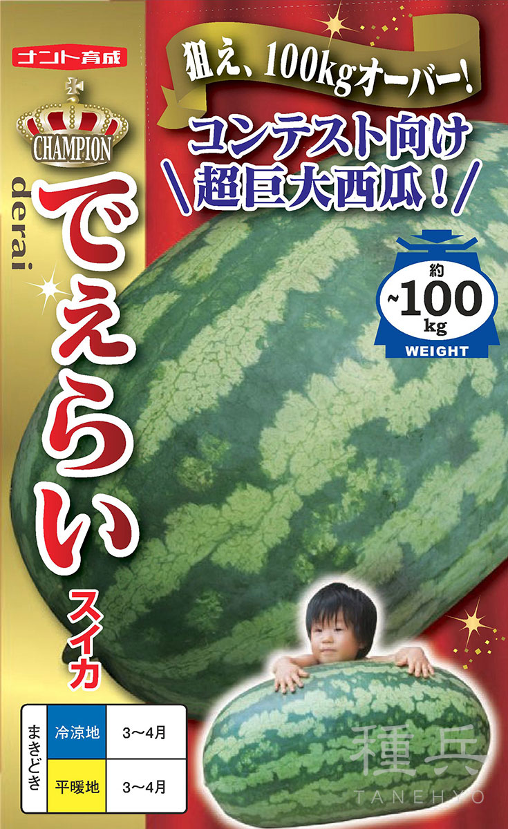 超大玉スイカ 種 『でぇらい』 ナント種苗 | たね,果菜の種,スイカ,中