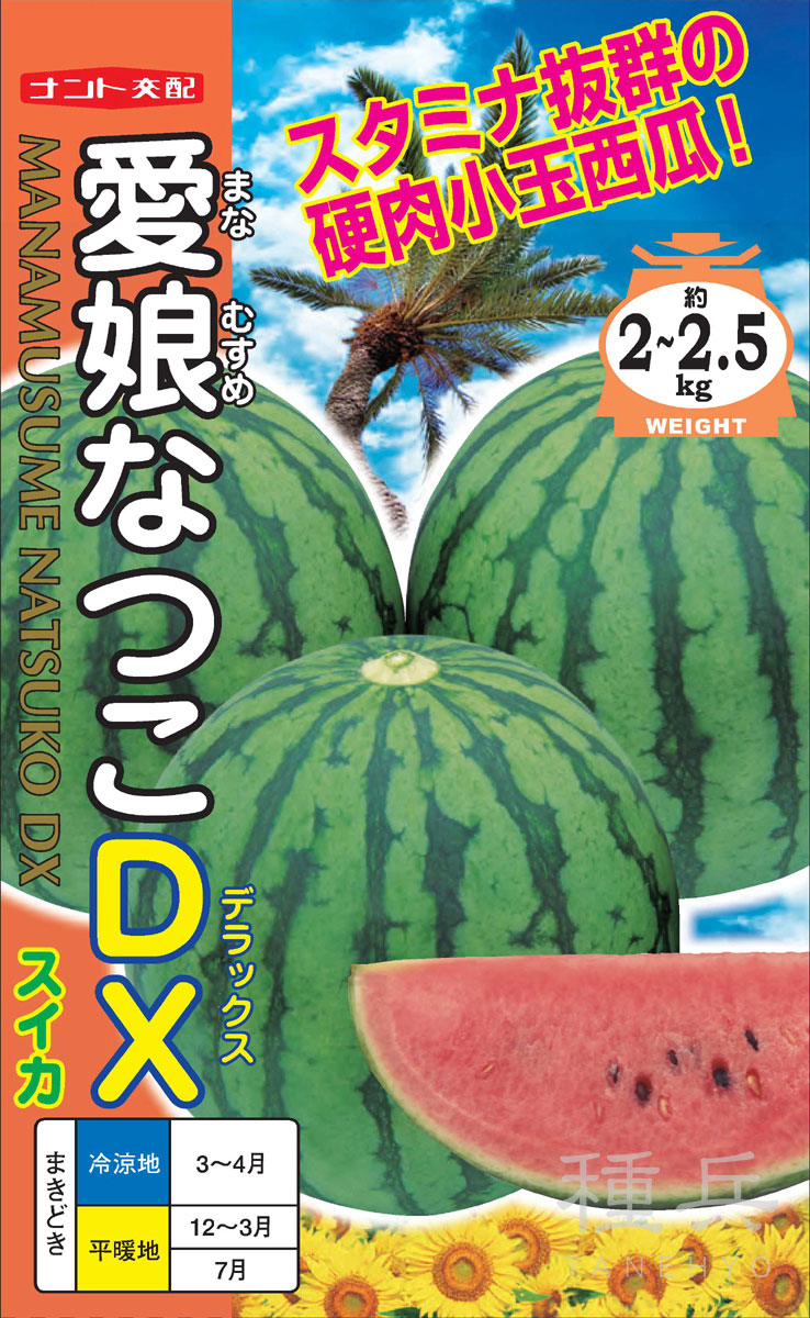紅小玉スイカ 種 『愛娘なつこDX』 ナント種苗 | たね,果菜の種