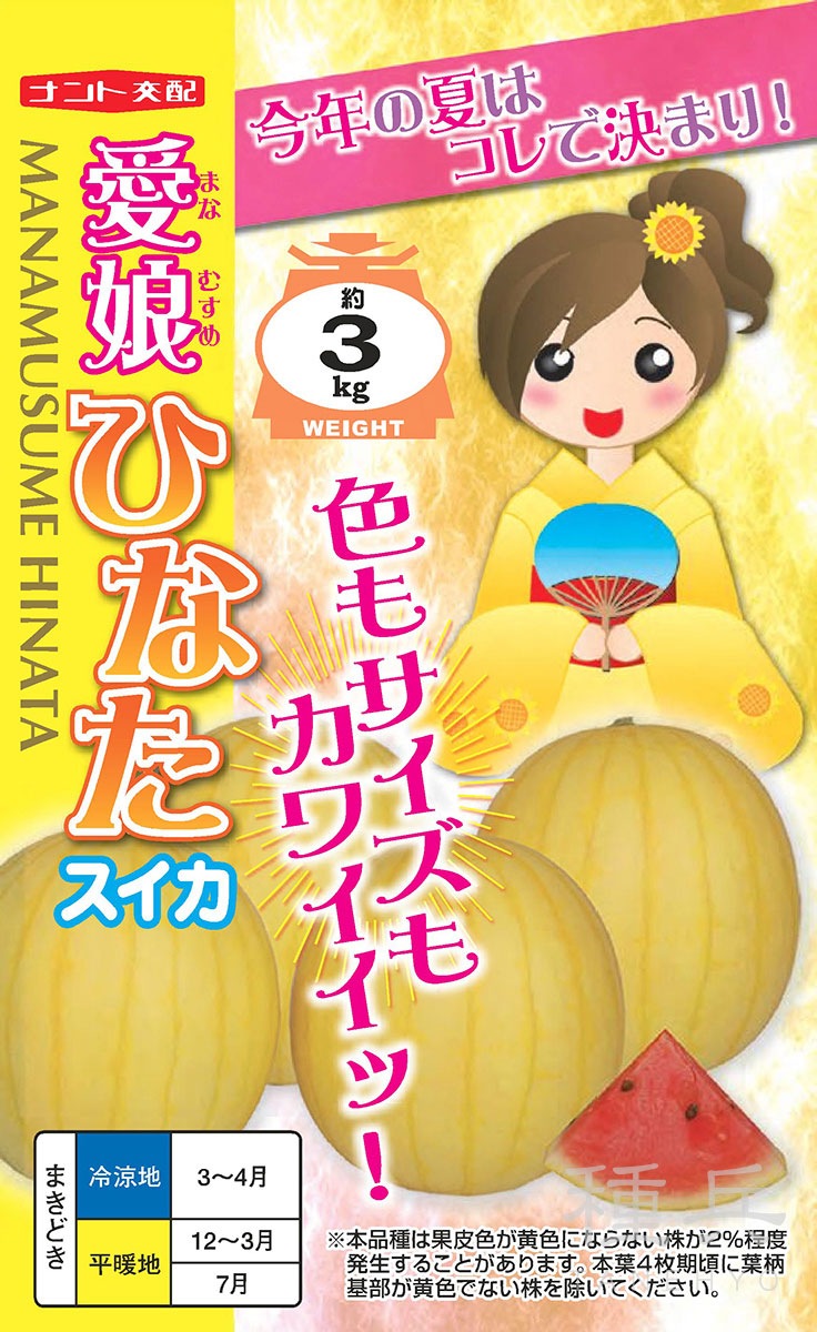 黄皮紅小玉スイカ 種 『愛娘ひなた』 ナント種苗 | たね,果菜の種
