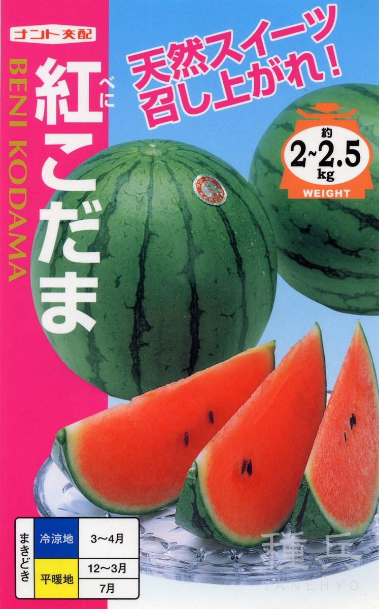 紅小玉スイカ 種 『紅こだま』 ナント種苗 | たね,果菜の種,スイカ