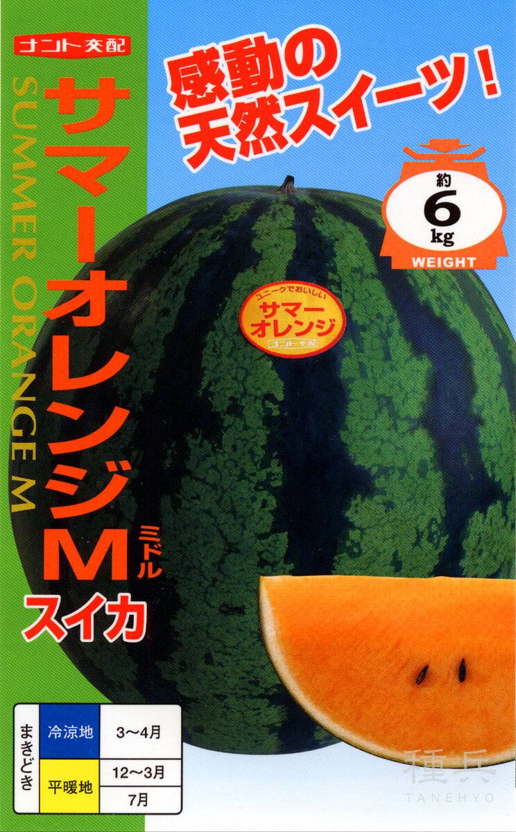 オレンジ中玉スイカ 種 『サマーオレンジミドル』 ナント種苗 | たね