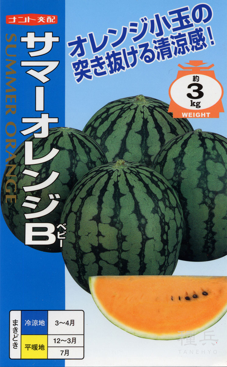 オレンジ小玉スイカ 種 『サマーオレンジベビー』 ナント種苗 | たね