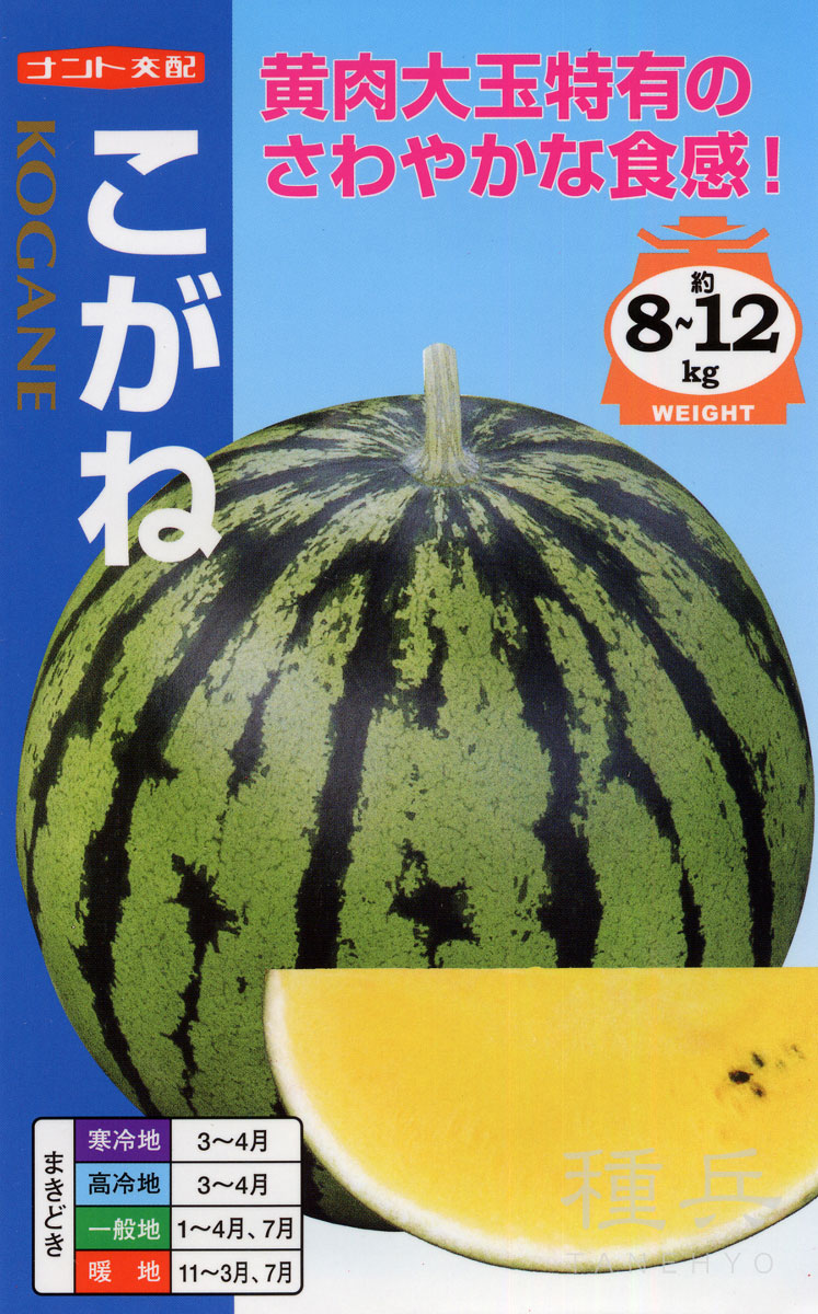 黄大玉スイカ 種 『こがね』 ナント種苗 | たね,果菜の種,スイカ,中