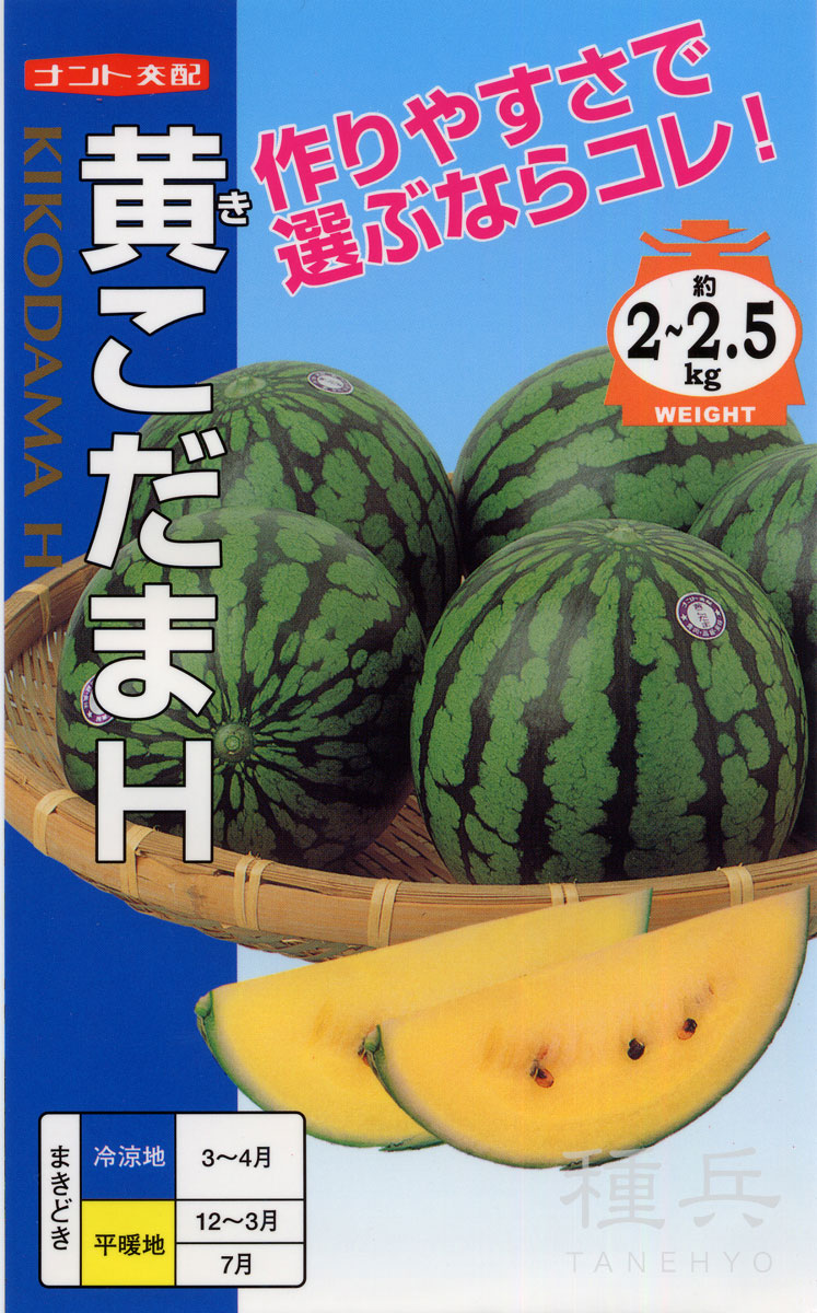 ヤトッチ　ミニ黄色スイカセット 黄小玉スイカ 種 『黄こだまH』 ナント種苗 | たね,果菜の種,スイカ