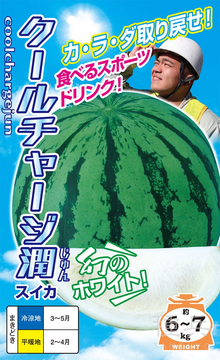 白肉大玉スイカ 種 『クールチャージ潤』 ナント種苗 | たね,果菜の種