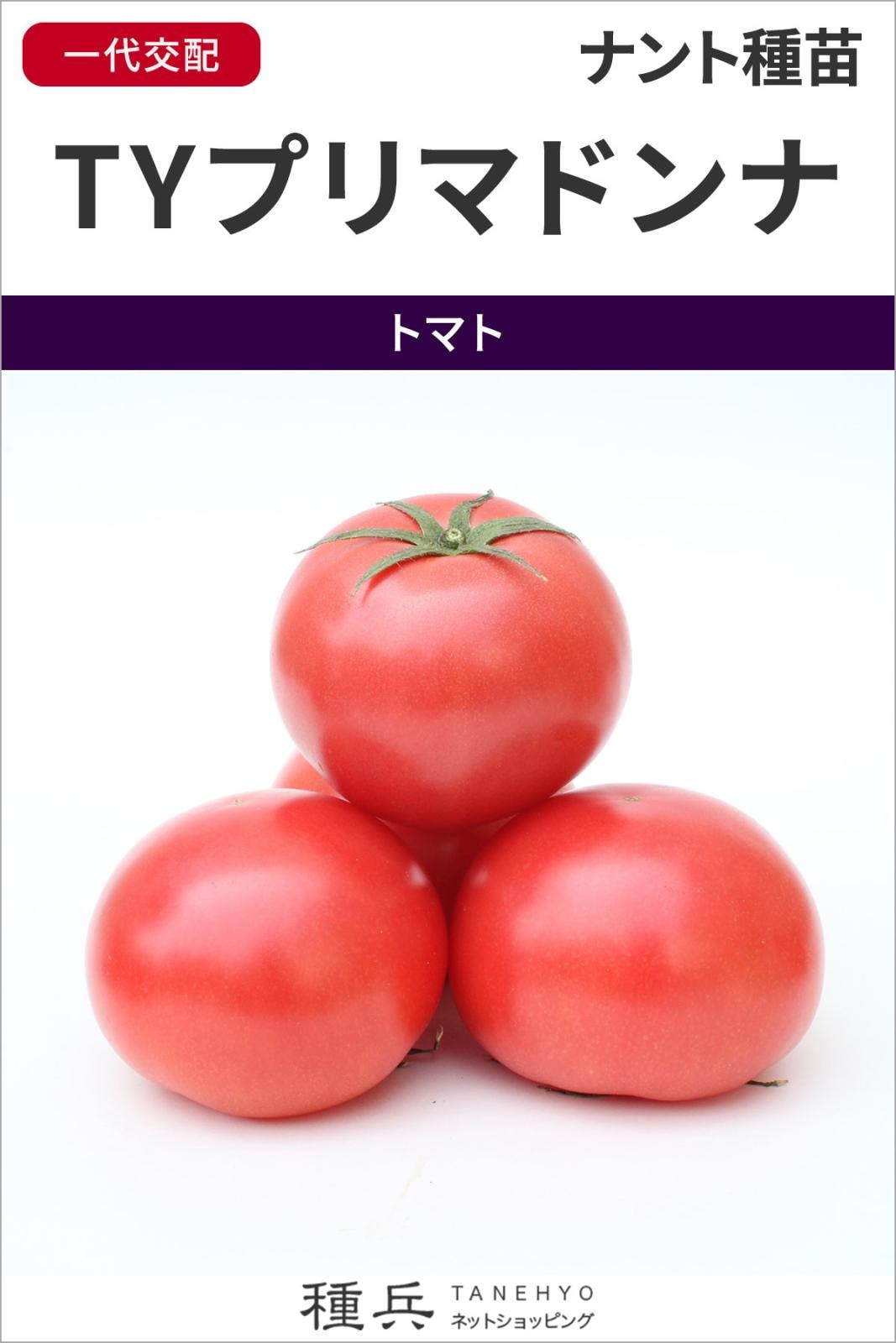 大玉トマト 種 『TYプリマドンナ』 ナント種苗 | たね,果菜の種,トマト