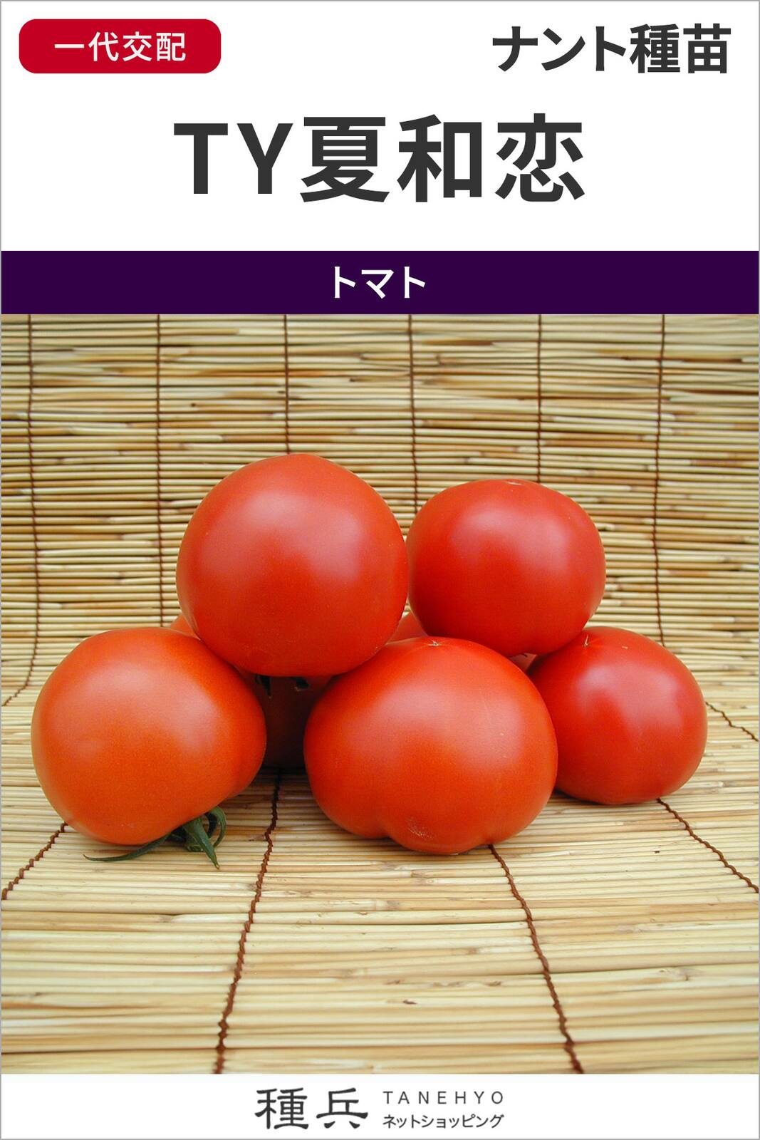 大玉トマト 種 『TY夏和恋』 ナント種苗 | たね,果菜の種,トマト