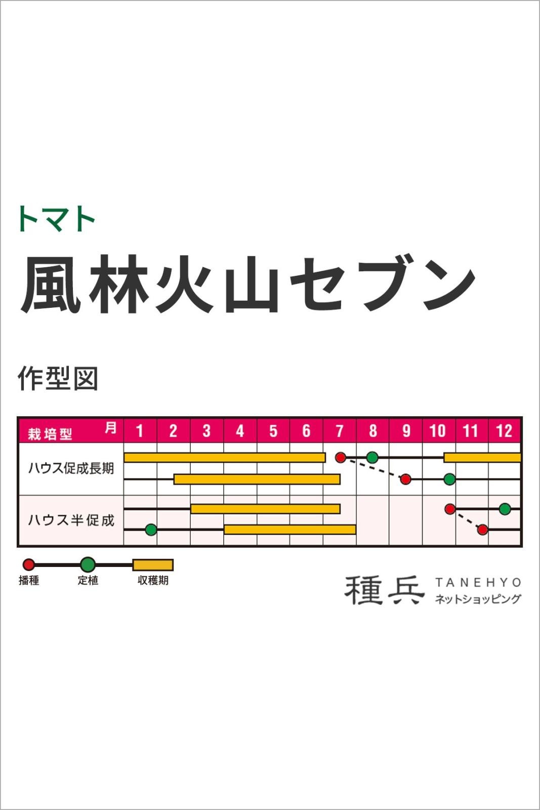 大玉トマト 種 『風林火山セブン』 ナント種苗 | たね,果菜の種,トマト