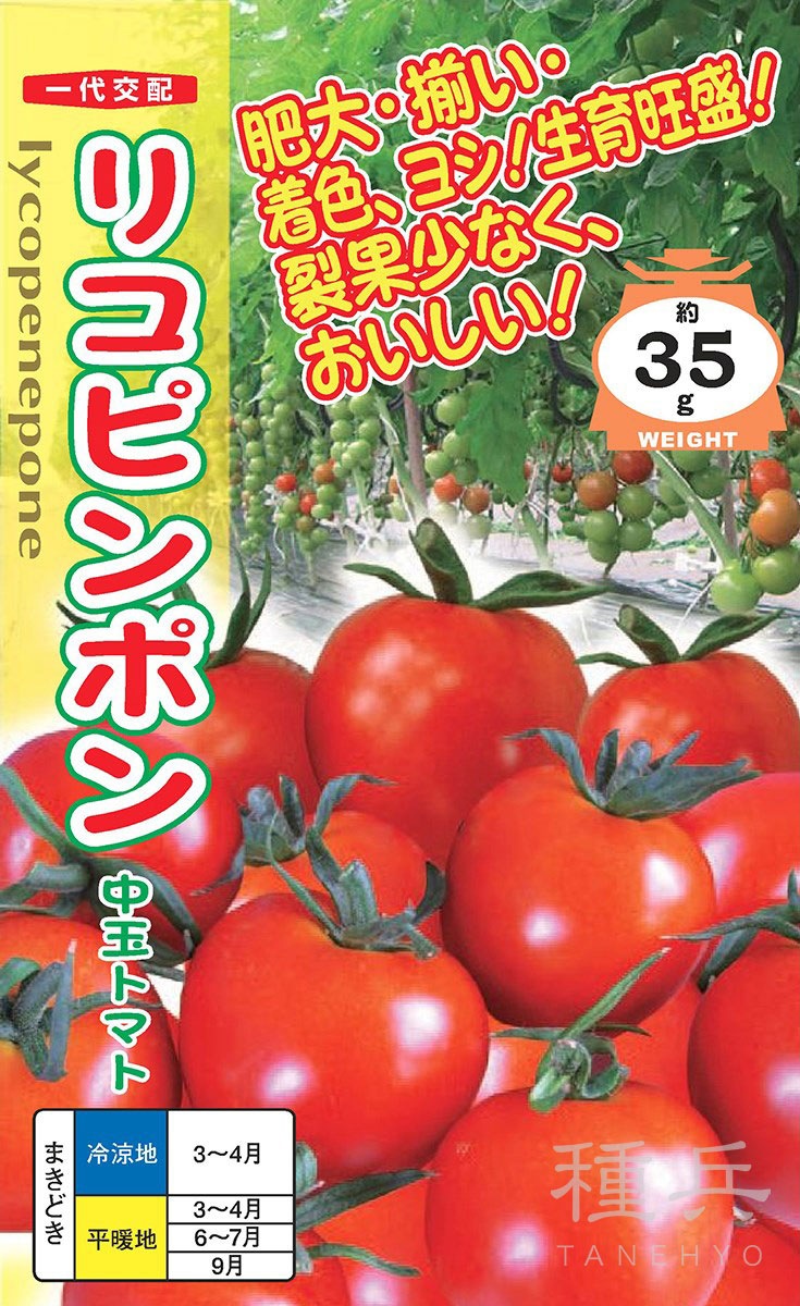 中玉トマト 種 『リコピンポン』 ナント種苗 | たね,果菜の種,トマト