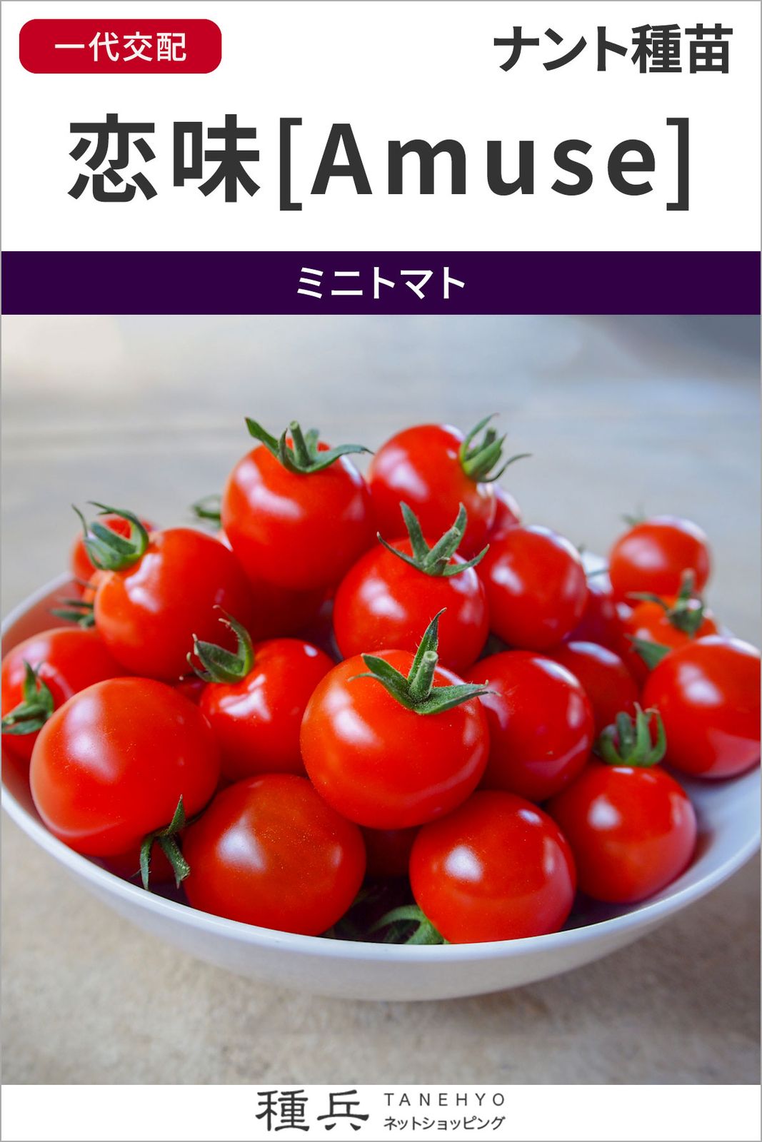 ミニトマト 種 『恋味[Amuse] (恋味アミューズ)』 ナント種苗 | たね