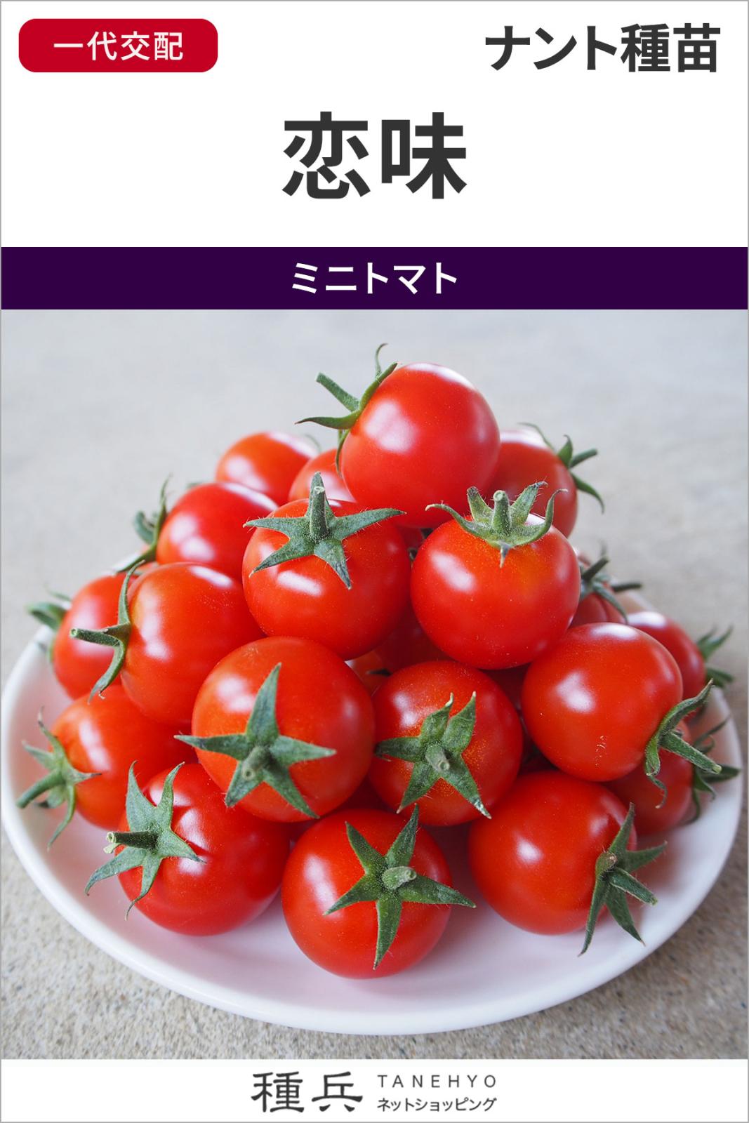 ミニトマト 種 『恋味（こいあじ）』  ナント種苗