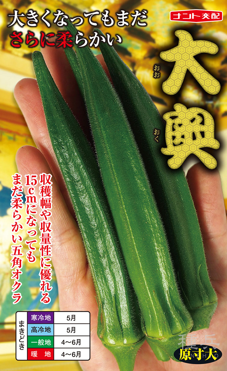 オクラ 種 『大奥』  ナント種苗