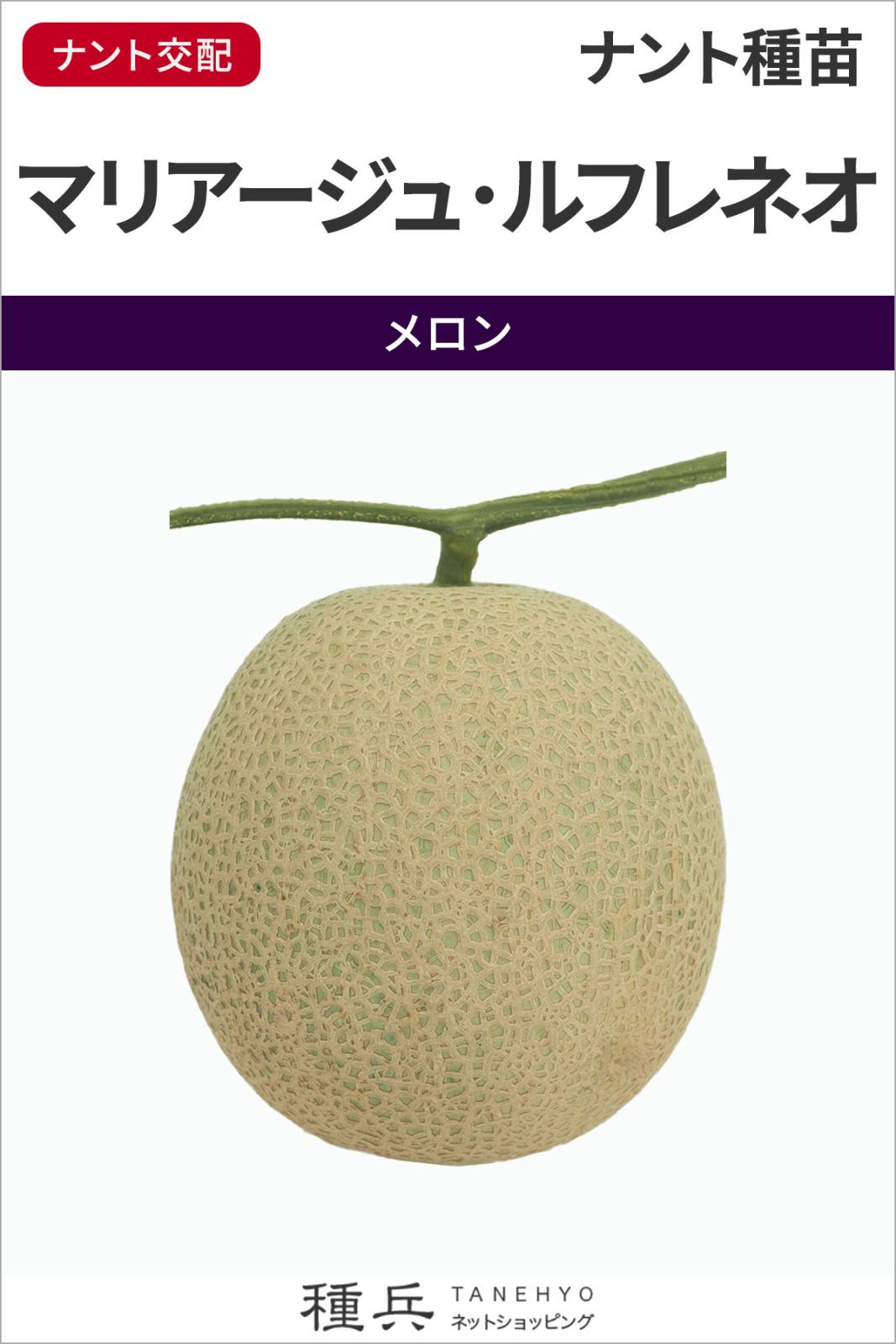 ネットメロン（赤肉） 種 『マリアージュ・ルフレネオ』  ナント種苗